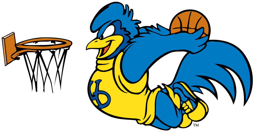 delaware blue hens 1993-pres mascot logo v7 diy DTF decal sticker